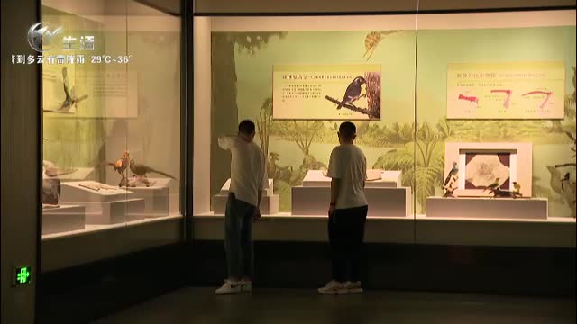 武進新聞
