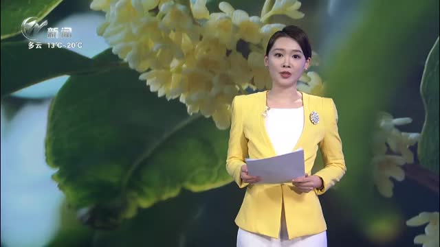 武進新聞