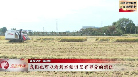 武進新聞