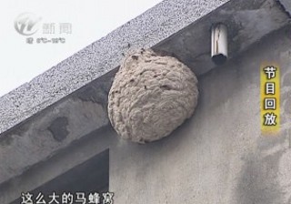 武進(jìn)新聞