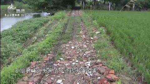 武進新聞