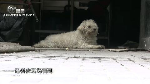 武進(jìn)新聞