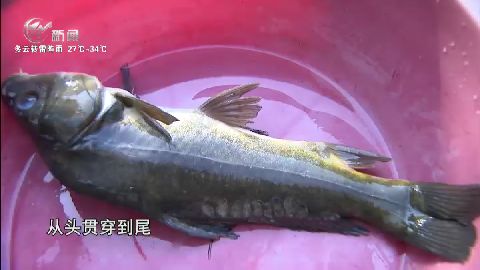 武進(jìn)新聞