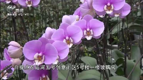 武進(jìn)新聞