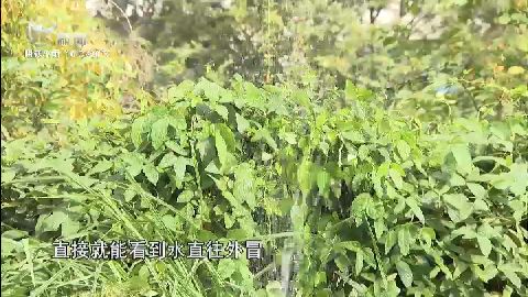 武進(jìn)新聞