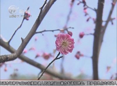 武進新聞