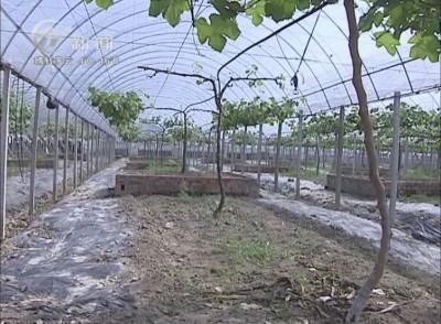 武進新聞