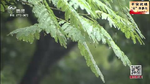 武進(jìn)新聞