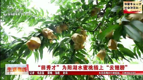 武進新聞