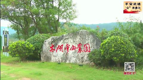 武進(jìn)新聞