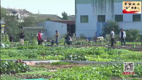 武進(jìn)新聞