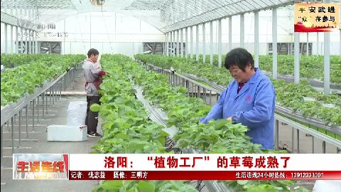武進(jìn)新聞
