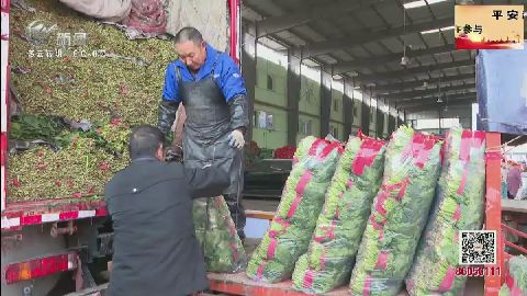 武進(jìn)新聞
