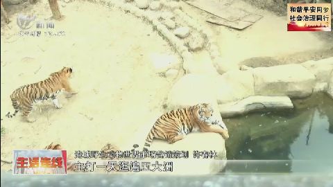 武進(jìn)新聞