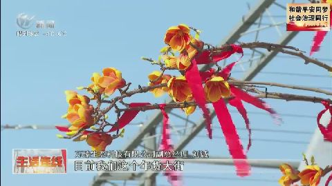 武進(jìn)新聞
