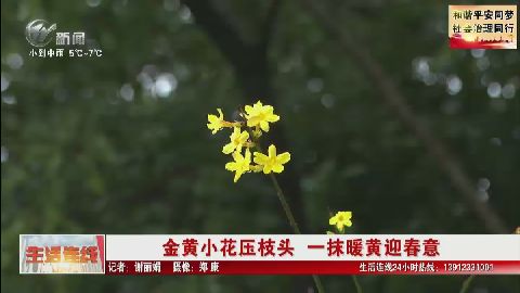武進(jìn)新聞
