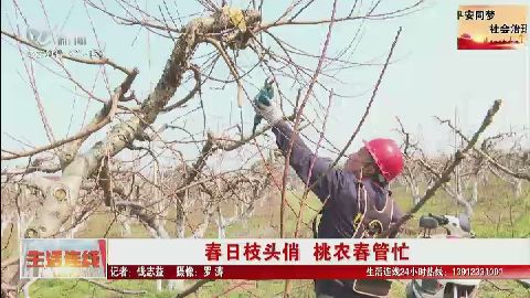 武進新聞