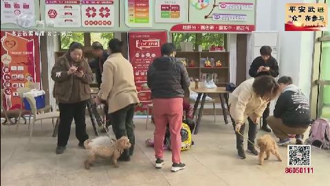 武進新聞