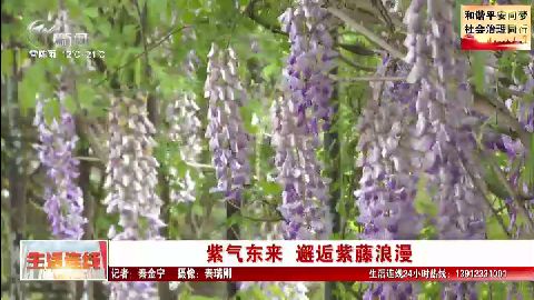 武進新聞