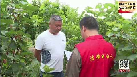 武進(jìn)新聞