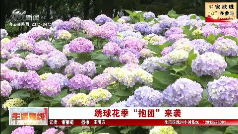 武進(jìn)新聞
