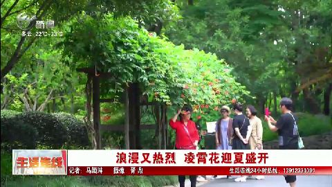 武進新聞