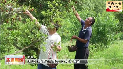 武進新聞