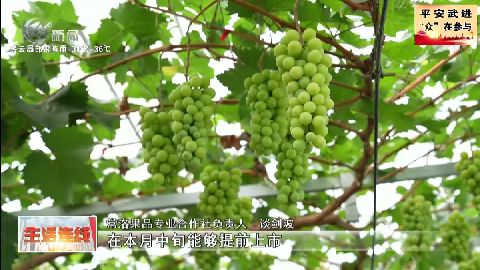 武進新聞