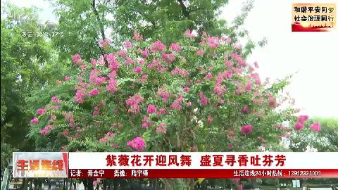 武進新聞