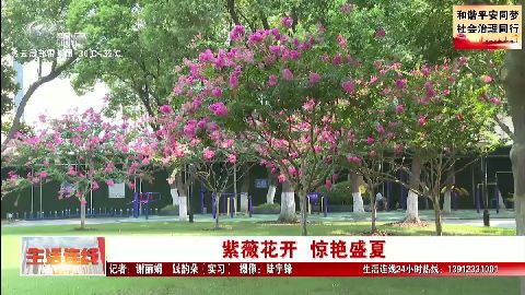 武進新聞