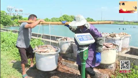 武進(jìn)新聞