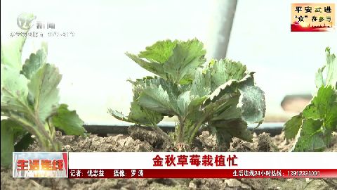 武進新聞