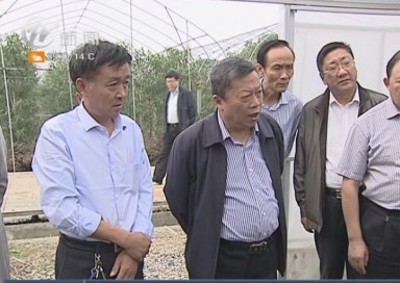 武進(jìn)新聞