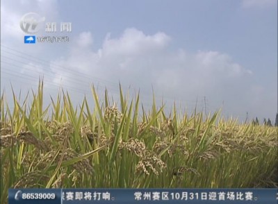 武進新聞