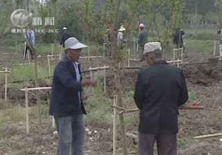 武進新聞