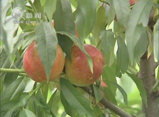 武進(jìn)新聞