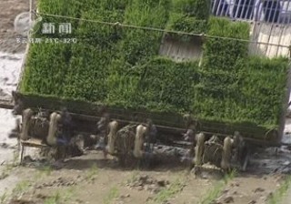 武進(jìn)新聞