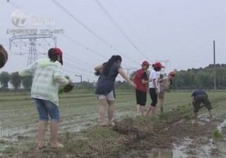 武進新聞