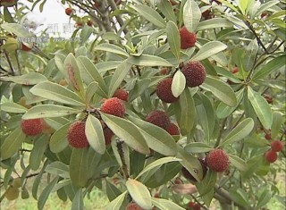 武進(jìn)新聞