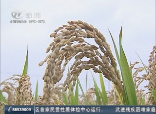 武進(jìn)新聞