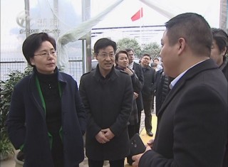 武進新聞