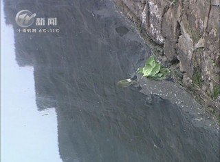 武進(jìn)新聞