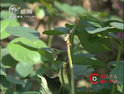 武進(jìn)新聞