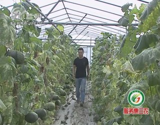 武進新聞