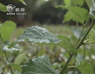 武進(jìn)新聞