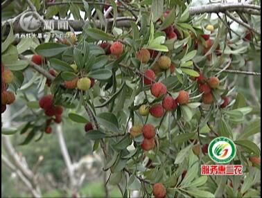 武進(jìn)新聞