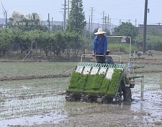 武進新聞