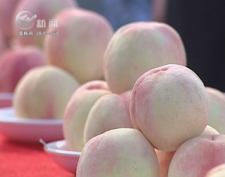 武進(jìn)新聞