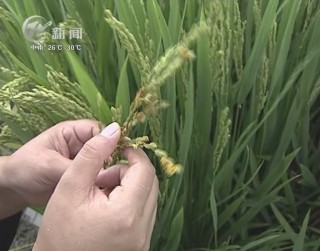 武進(jìn)新聞