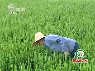 武進(jìn)新聞